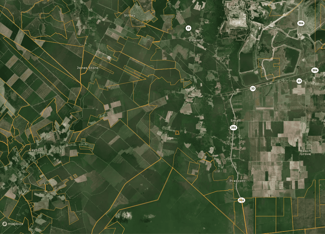 9.5 Acres Timberland Near New Bern & Washington NC